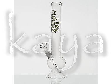 Bongh Green Plant Logo