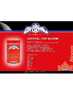 Crystal Top Bloom