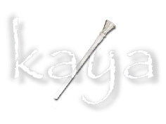 Foyer en Verre Conique pour Bongh 14mm