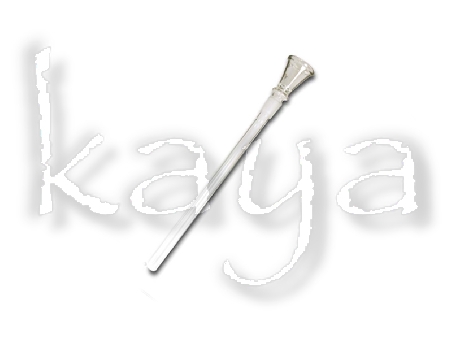 Foyer en Verre Conique pour Bongh 14mm