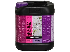 Bcuzz Bloei Bloom Booster 5L 