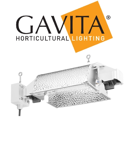 Gavita Hortistar 1000 DE