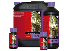 Coco Booster Universal Bcuzz Atami