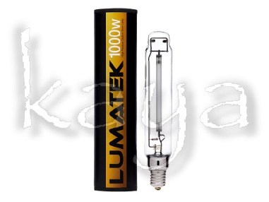 Ampoule Lumatek 1000W