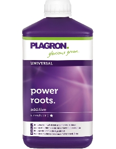 Plagron Power Roots