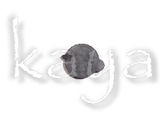 Bouchon Goutteur Araignée