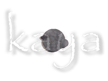 Bouchon Goutteur Araignée