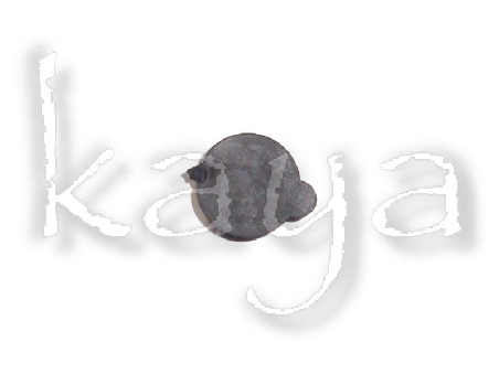 Bouchon Goutteur Araignée