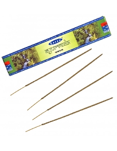 Encens Satya Ayurveda 15gr