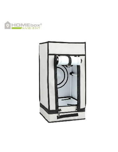 Homebox Ambient Q30