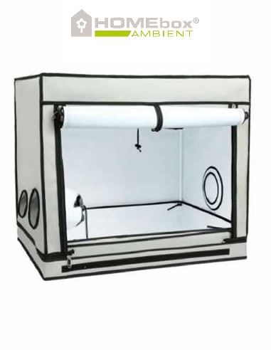 Homebox Ambient R80S