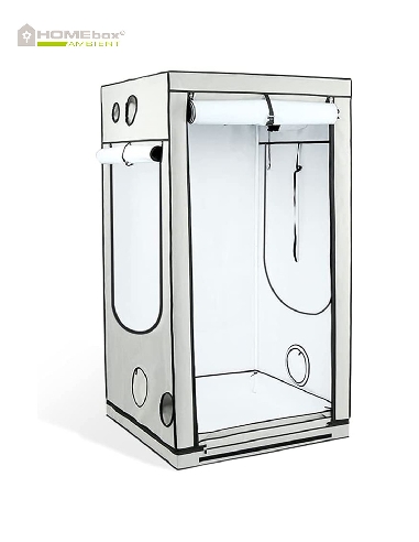 Homebox Ambient Q100