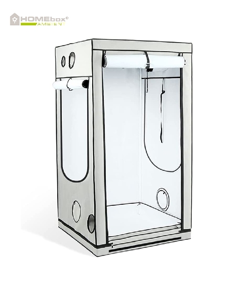 Homebox Ambient Q100