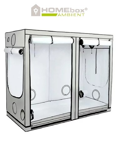 Homebox Ambient R240