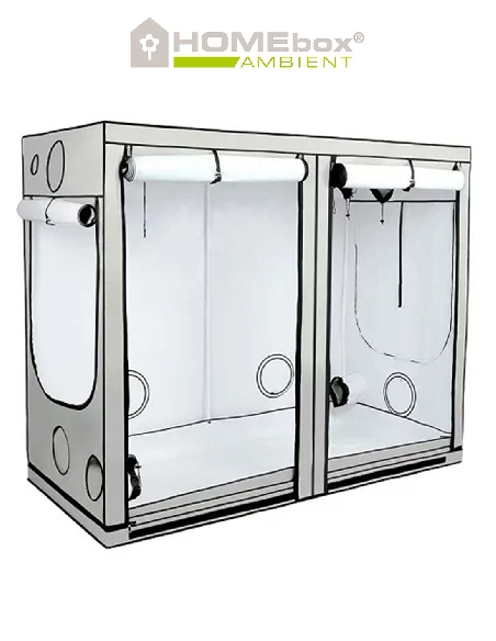 Homebox Ambient R240