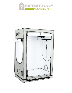 Homebox Ambient R120