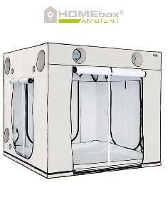Homebox Ambient Q300+