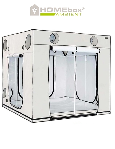 Homebox Ambient Q300+