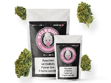 Starbuds Bubble Gum Indoor CBD 22% 12gr