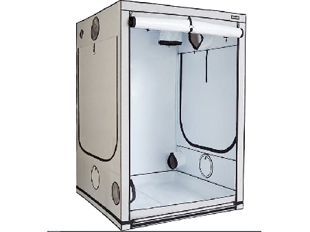 Homebox Ambient Q150+