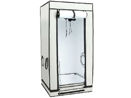 Homebox Ambient Q60+