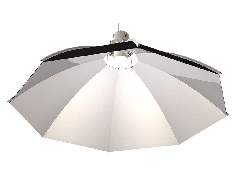 Réflecteur Daisy 60cm