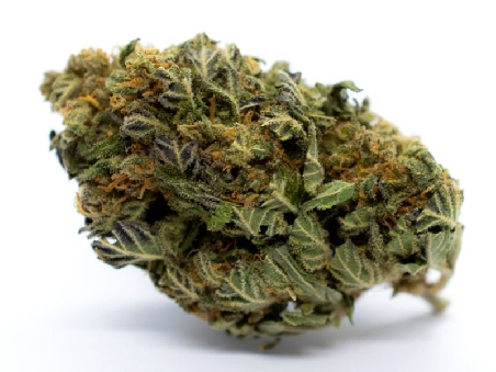 Red City Orange Bud CBD Indoor 5gr