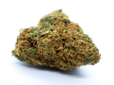 Red City Fraise Indoor CBD 4gr