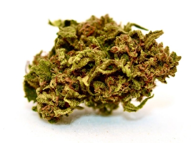 Red City Cannatonic CBD 4gr