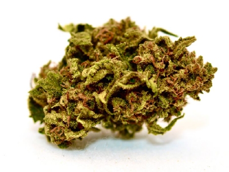 Red City Cannatonic CBD 4gr