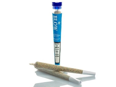 Joint Blow Sweet Blue CBD 1pces