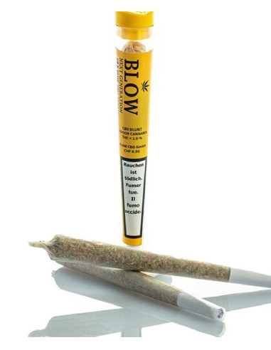 Joint Blow Sweet Haze Yellow 1pce