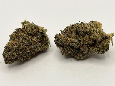 Red City Mango Haze CBD Indoor Limited Edition 5gr