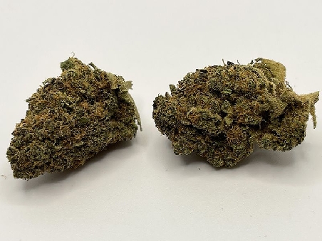 Red City Mango Haze CBD Indoor Limited Edition 5gr