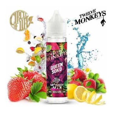 Twelve Monkeys Queen Soko 50ml 
