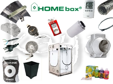 Kit Homebox Ambient Q120