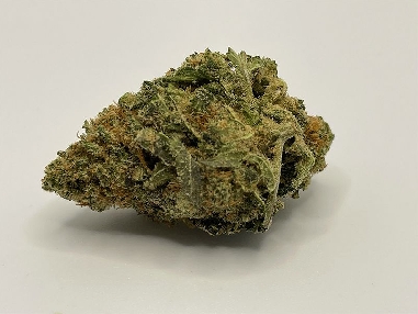 Red City Jack Frost Indoor (Special Edition) 4gr