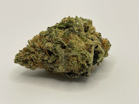 Red City Jack Frost Indoor (Special Edition) 4gr