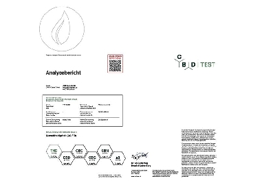 JYM's CannaQueen CBD Féminisée 3pces