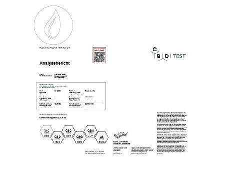 JYM's CannaQueen CBD Féminisée 3pces