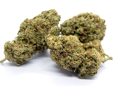 Red City Critical Indoor CBD 4gr