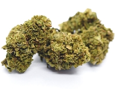 Red City Magic Green Outdoor 4gr 