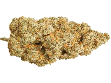 CannaGold Amnesia 9g CBD Indoor