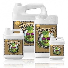 Advanced Nutrients Big Bud Coco