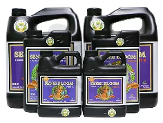 Advanced Nutrients PH Perfect Sensi Bloom A