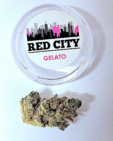 Red City Gelato Indoor CBD 5gr