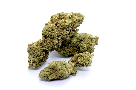 Red City White Melon Indoor CBD 4gr