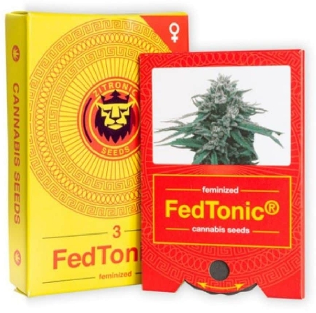 JYM's Fedtonic CBD Féminisée 3pces