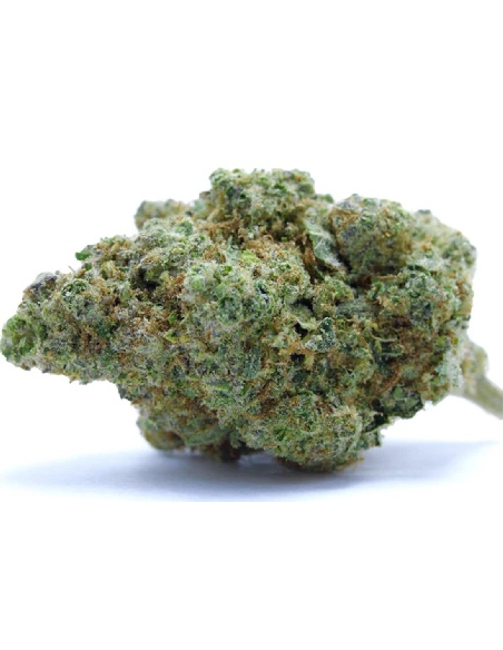 CannaGold Blueberry 3g CBD Indoor