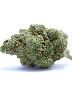 CannaGold Blueberry 9g CBD Indoor